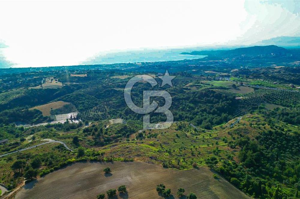 Kuşadası Soğucak’ta 396,91m² Satılık Konut İmarlı Arsa!