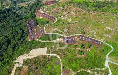 Kuşadası Soğucak’ta 409,37m² Satılık Konut İmarlı Arsa!