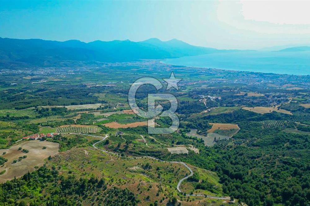 Kuşadası Soğucak’ta 409,37m² Satılık Konut İmarlı Arsa!