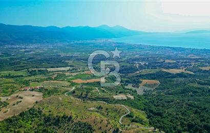 Kuşadası Soğucak’ta 409,37m² Satılık Konut İmarlı Arsa!