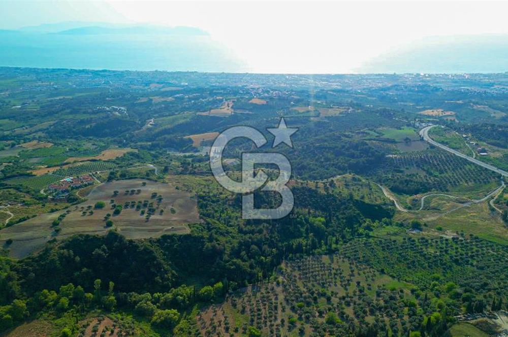Kuşadası Soğucak’ta 317,31m² Satılık Konut İmarlı Arsa!