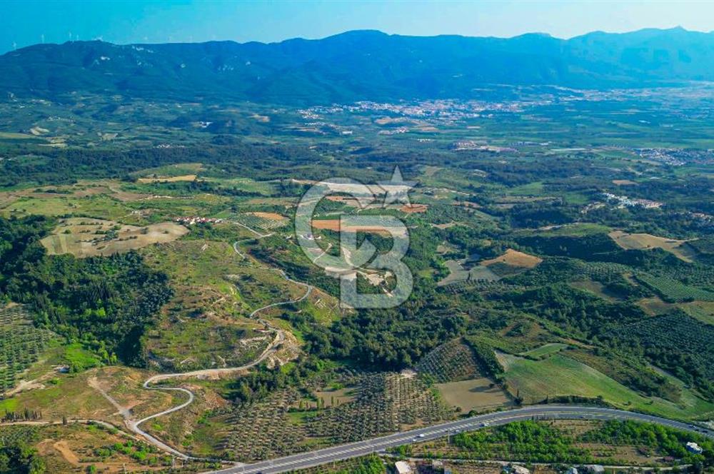 Kuşadası Soğucak’ta 349,20m² Satılık Konut İmarlı Arsa!
