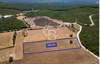 CB ARDENDEN KAŞ GÖKÇEYAZIDA DOĞA İLE İÇ İÇE SATILIK TARLA