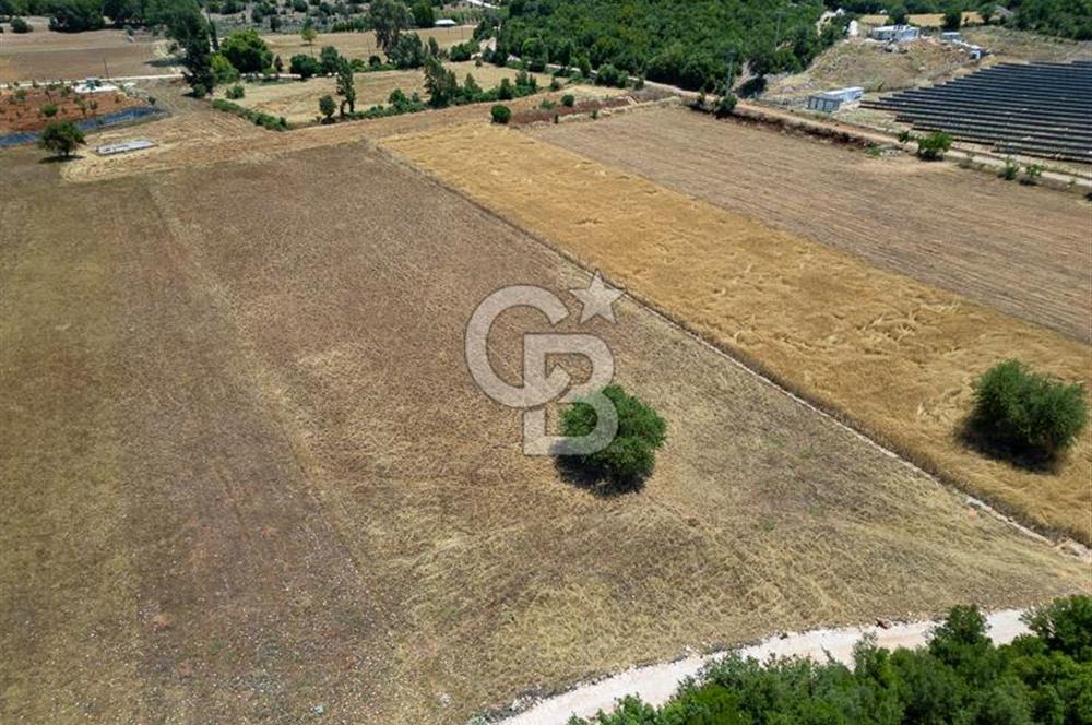 CB ARDENDEN KAŞ GÖKÇEYAZIDA DOĞA İLE İÇ İÇE SATILIK TARLA