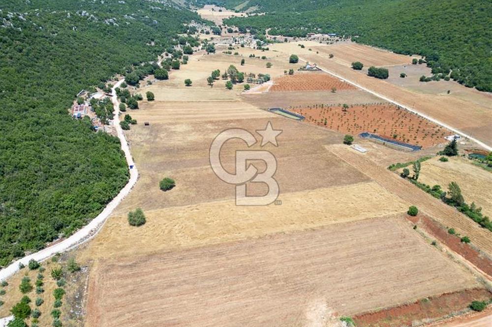 CB ARDENDEN KAŞ GÖKÇEYAZIDA DOĞA İLE İÇ İÇE SATILIK TARLA
