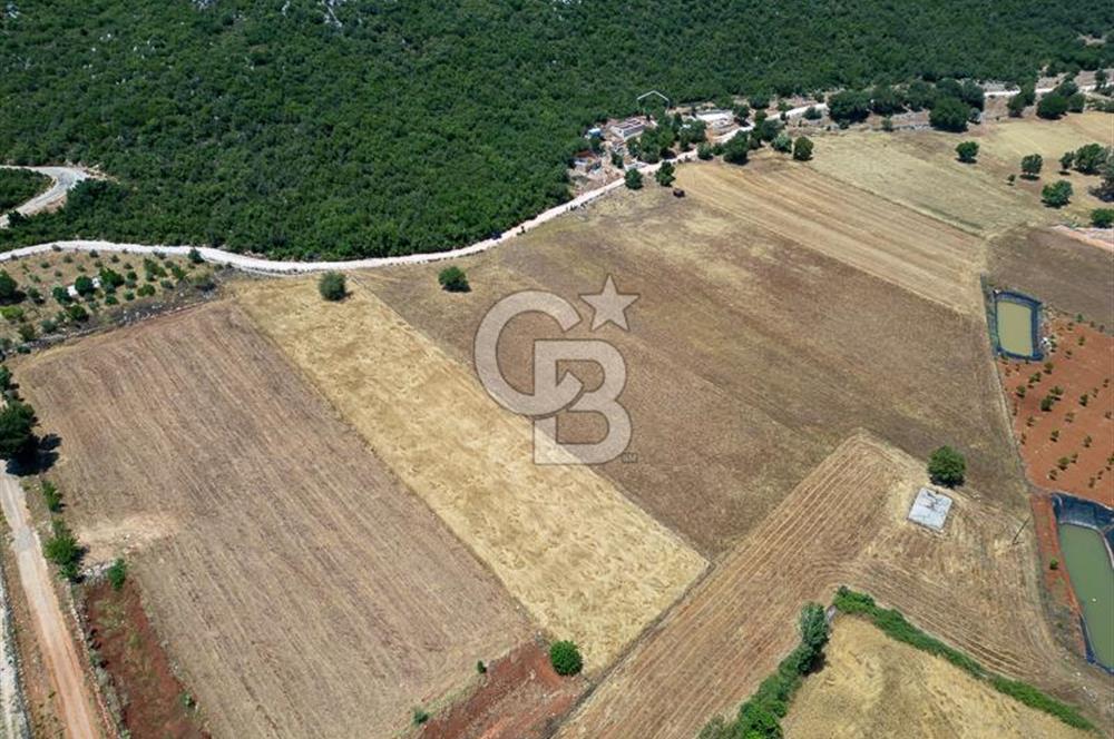 CB ARDENDEN KAŞ GÖKÇEYAZIDA DOĞA İLE İÇ İÇE SATILIK TARLA