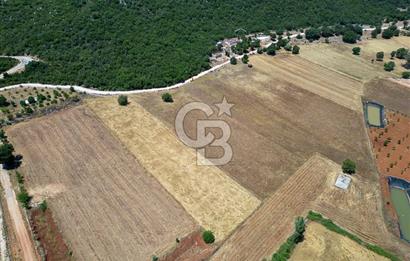 CB ARDENDEN KAŞ GÖKÇEYAZIDA DOĞA İLE İÇ İÇE SATILIK TARLA