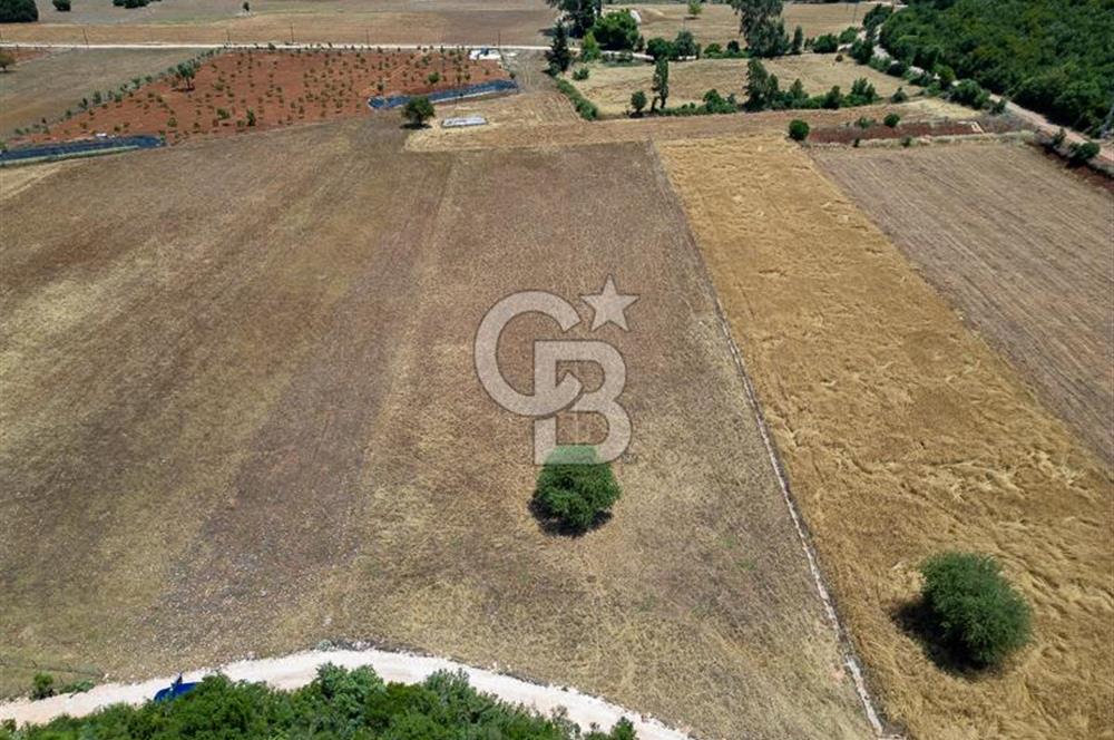 CB ARDENDEN KAŞ GÖKÇEYAZIDA DOĞA İLE İÇ İÇE SATILIK TARLA