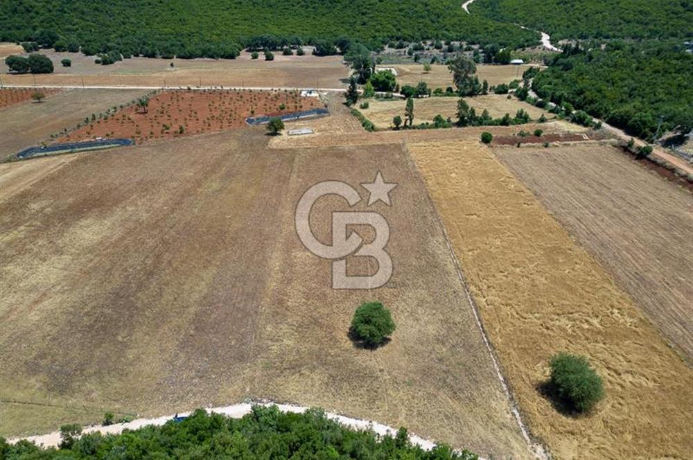 CB ARDENDEN KAŞ GÖKÇEYAZIDA DOĞA İLE İÇ İÇE SATILIK TARLA