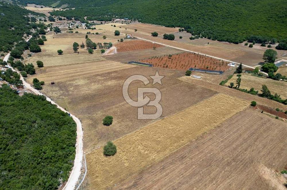 CB ARDENDEN KAŞ GÖKÇEYAZIDA DOĞA İLE İÇ İÇE SATILIK TARLA