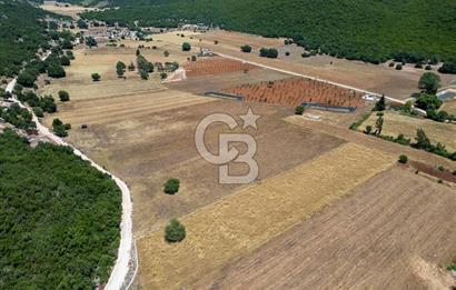 CB ARDENDEN KAŞ GÖKÇEYAZIDA DOĞA İLE İÇ İÇE SATILIK TARLA
