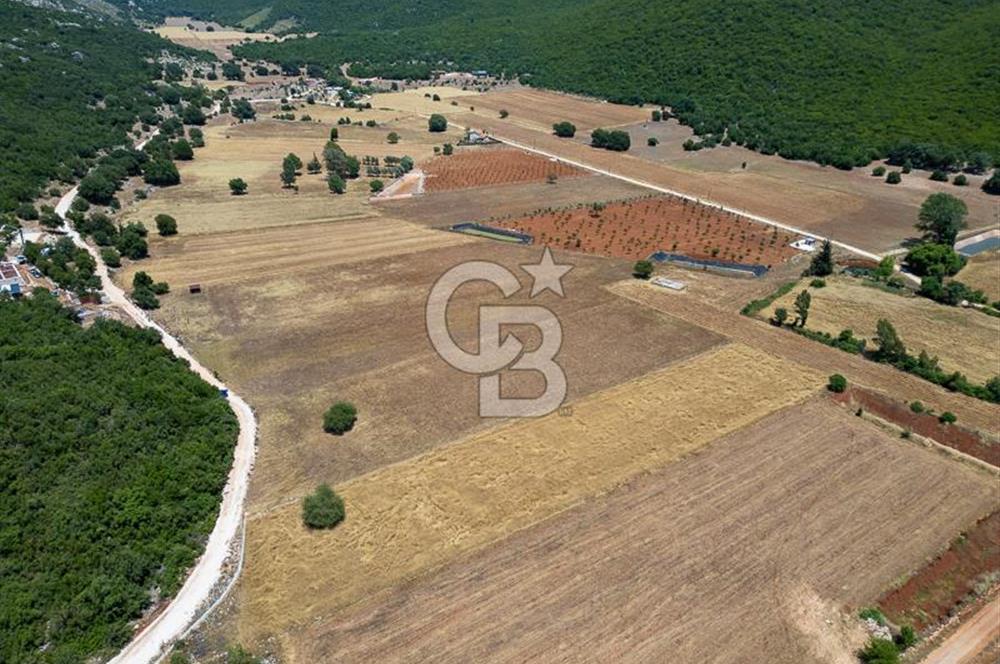 CB ARDENDEN KAŞ GÖKÇEYAZIDA DOĞA İLE İÇ İÇE SATILIK TARLA