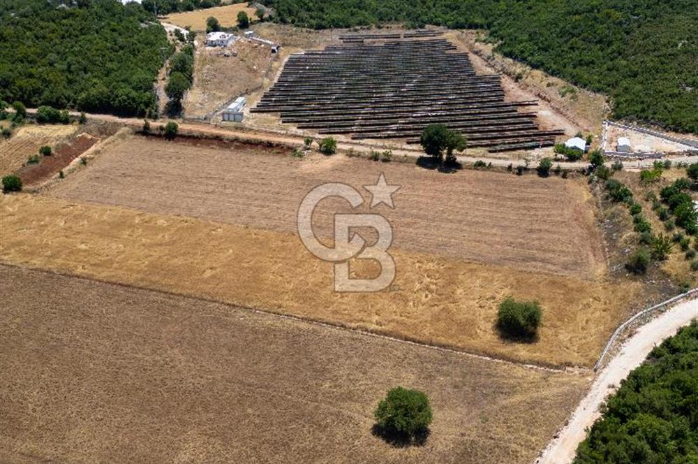 CB ARDENDEN KAŞ GÖKÇEYAZIDA DOĞA İLE İÇ İÇE SATILIK TARLA