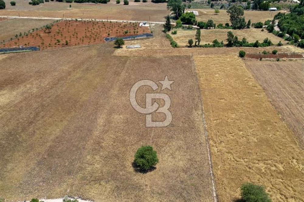CB ARDENDEN KAŞ GÖKÇEYAZIDA DOĞA İLE İÇ İÇE SATILIK TARLA