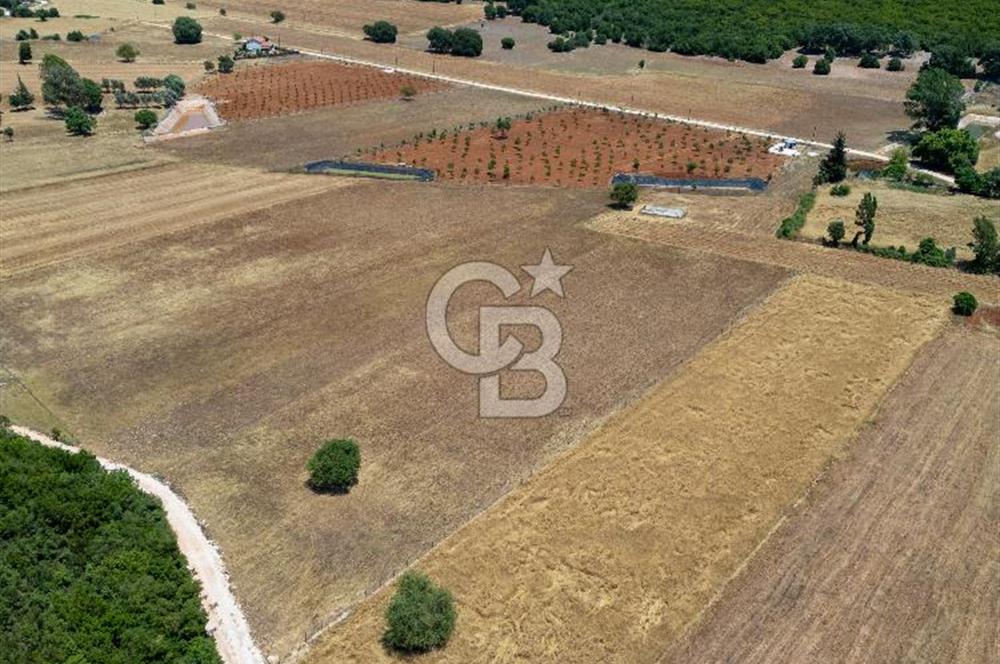 CB ARDENDEN KAŞ GÖKÇEYAZIDA DOĞA İLE İÇ İÇE SATILIK TARLA