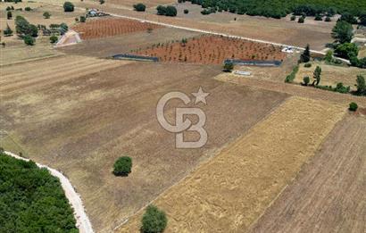 CB ARDENDEN KAŞ GÖKÇEYAZIDA DOĞA İLE İÇ İÇE SATILIK TARLA