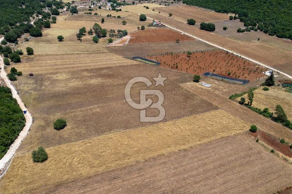 CB ARDENDEN KAŞ GÖKÇEYAZIDA DOĞA İLE İÇ İÇE SATILIK TARLA