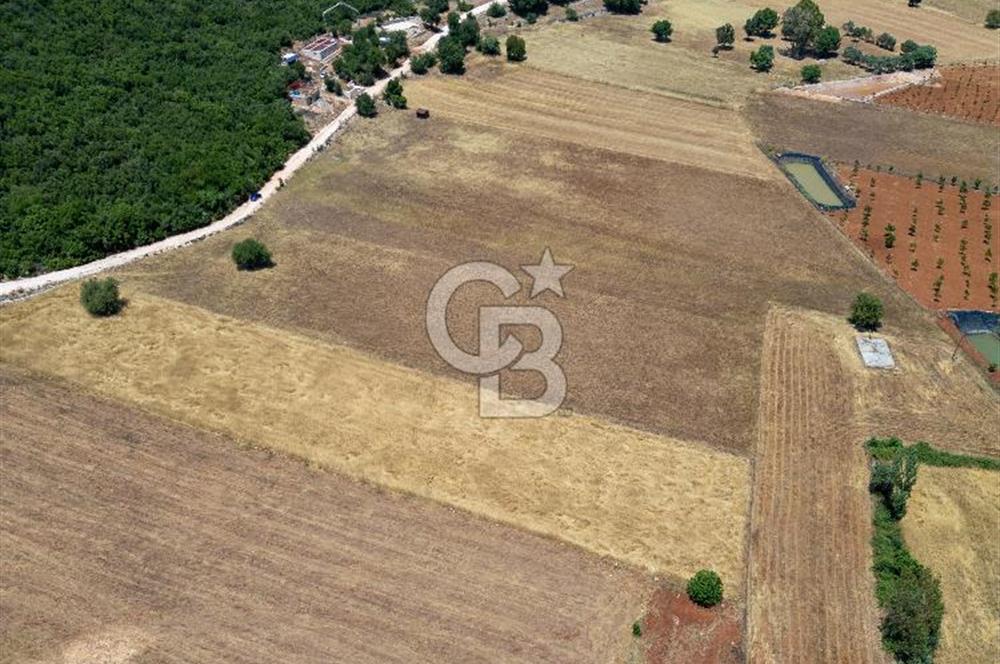 CB ARDENDEN KAŞ GÖKÇEYAZIDA DOĞA İLE İÇ İÇE SATILIK TARLA