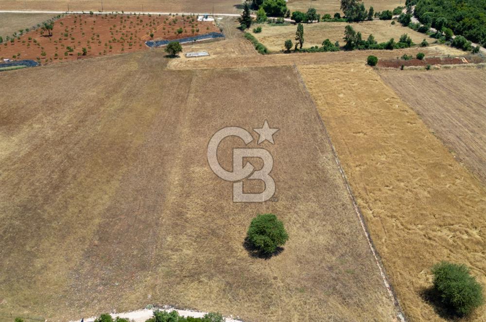 CB ARDENDEN KAŞ GÖKÇEYAZIDA DOĞA İLE İÇ İÇE SATILIK TARLA
