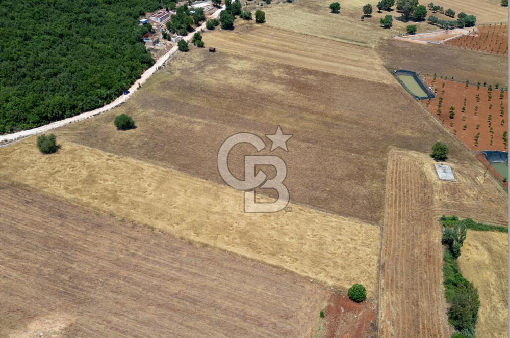 CB ARDENDEN KAŞ GÖKÇEYAZIDA DOĞA İLE İÇ İÇE SATILIK TARLA