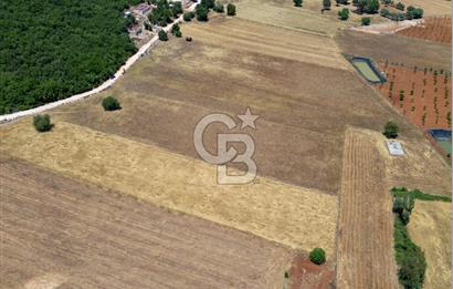 CB ARDENDEN KAŞ GÖKÇEYAZIDA DOĞA İLE İÇ İÇE SATILIK TARLA