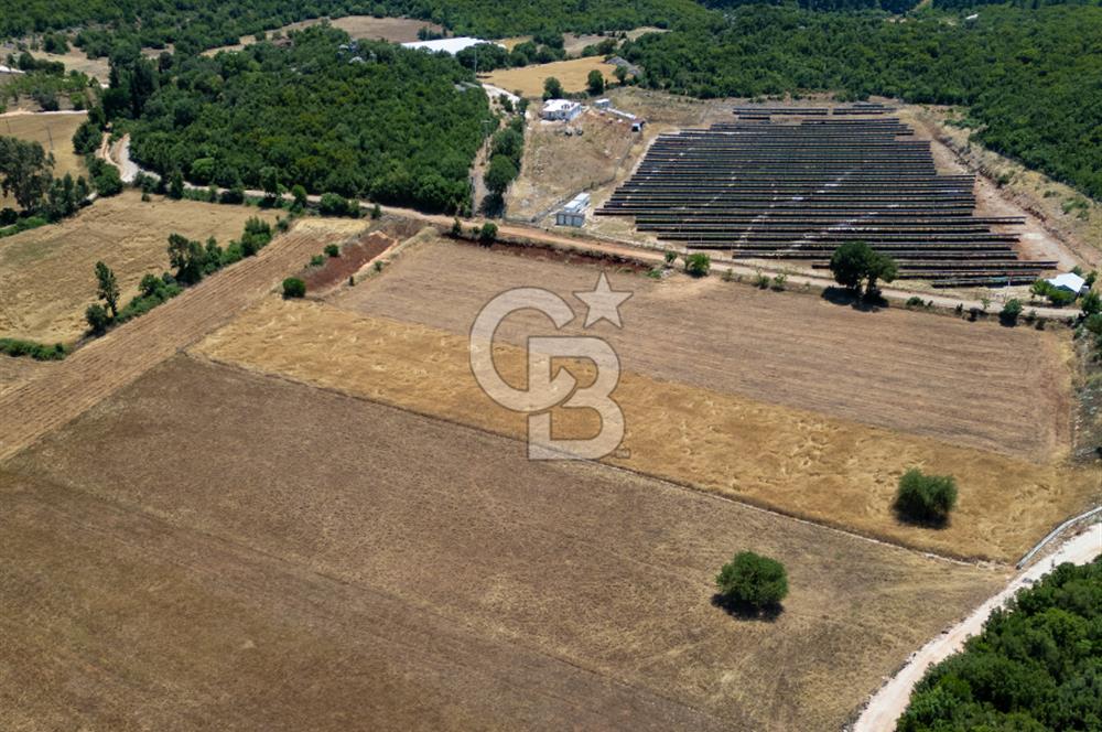 CB ARDENDEN KAŞ GÖKÇEYAZIDA DOĞA İLE İÇ İÇE SATILIK TARLA
