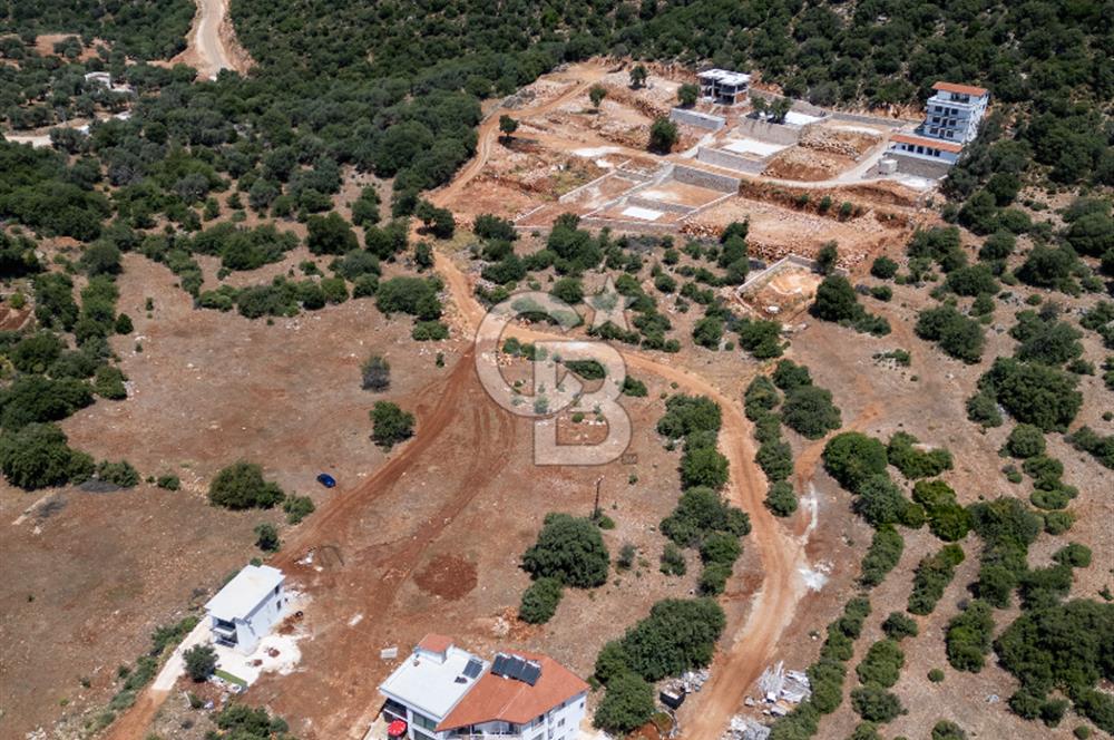 CB ARDENDEN ANTALYA KAŞ BAYINDIRDA SATILIK TARLA