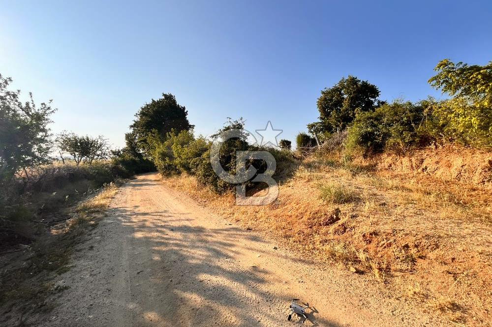 ÇAVUŞLU DOĞA MANZARALI YATIRIMA UYGUN YOL KENARI SATILIK TARLA