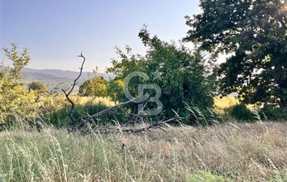 ÇAVUŞLU DOĞA MANZARALI YATIRIMA UYGUN YOL KENARI SATILIK TARLA