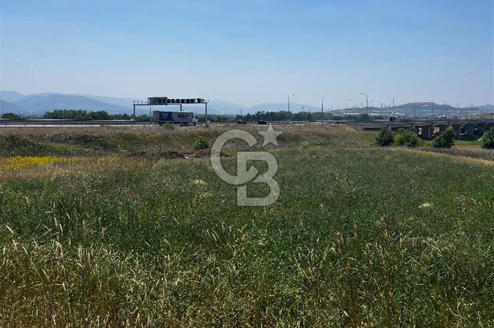 İzmit Bayraktar Kuzey Marmara Otoyolunda Tarla