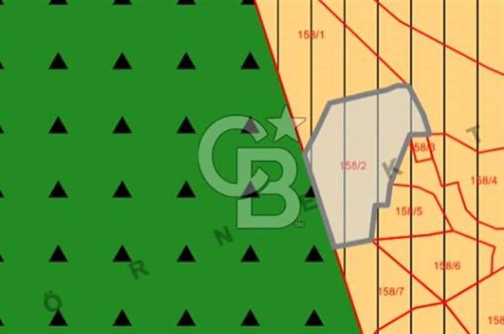 İzmir Dikili Demirtaş'da 828 M² Fırsat Satılık Arsa