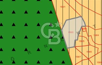 İzmir Dikili Demirtaş'da 828 M² Fırsat Satılık Arsa