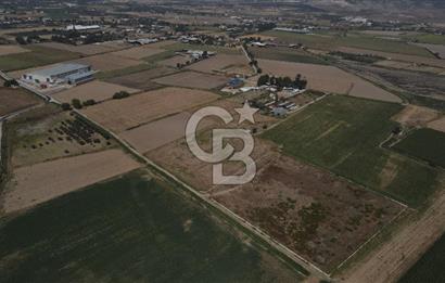 YATIRIM FIRSATI Satılık Foça Bağarası Tarla