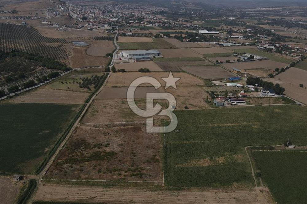 YATIRIM FIRSATI Satılık Foça Bağarası Tarla