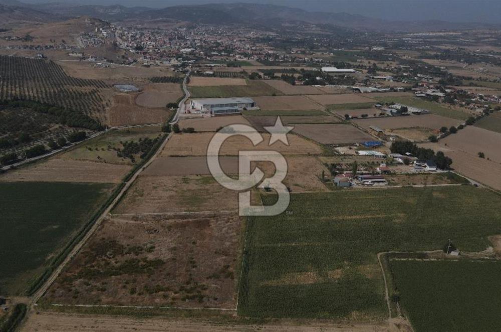 YATIRIM FIRSATI Satılık Foça Bağarası Tarla