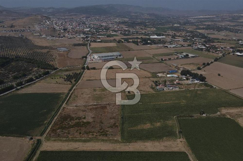 YATIRIM FIRSATI Satılık Foça Bağarası Tarla
