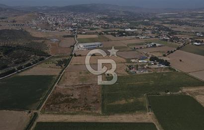 YATIRIM FIRSATI Satılık Foça Bağarası Tarla