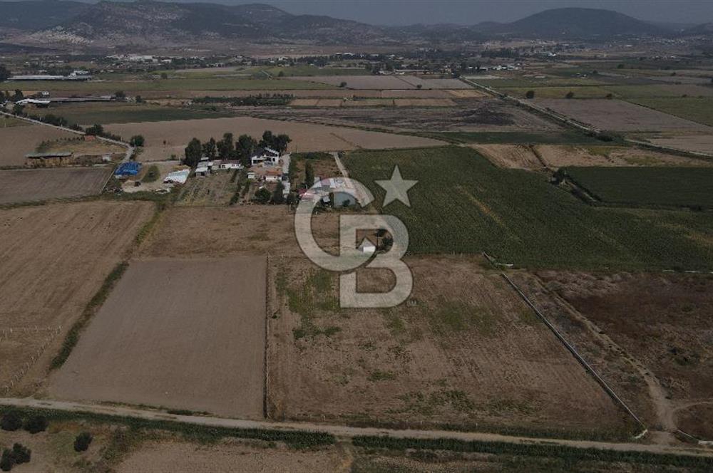 YATIRIM FIRSATI Satılık Foça Bağarası Tarla