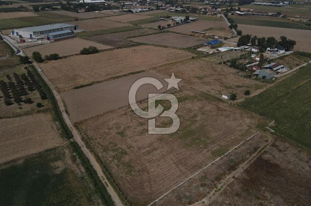 YATIRIM FIRSATI Satılık Foça Bağarası Tarla