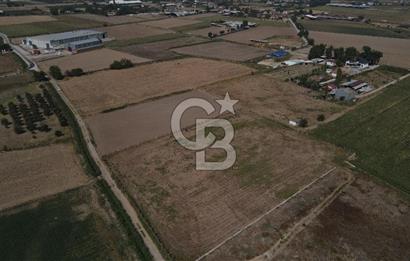 YATIRIM FIRSATI Satılık Foça Bağarası Tarla