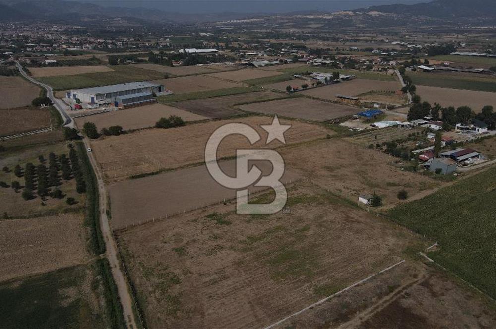 YATIRIM FIRSATI Satılık Foça Bağarası Tarla