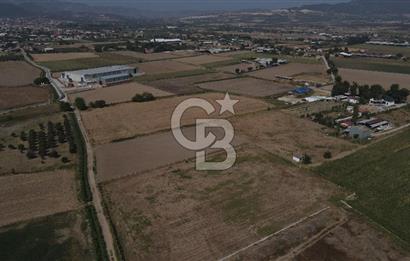 YATIRIM FIRSATI Satılık Foça Bağarası Tarla