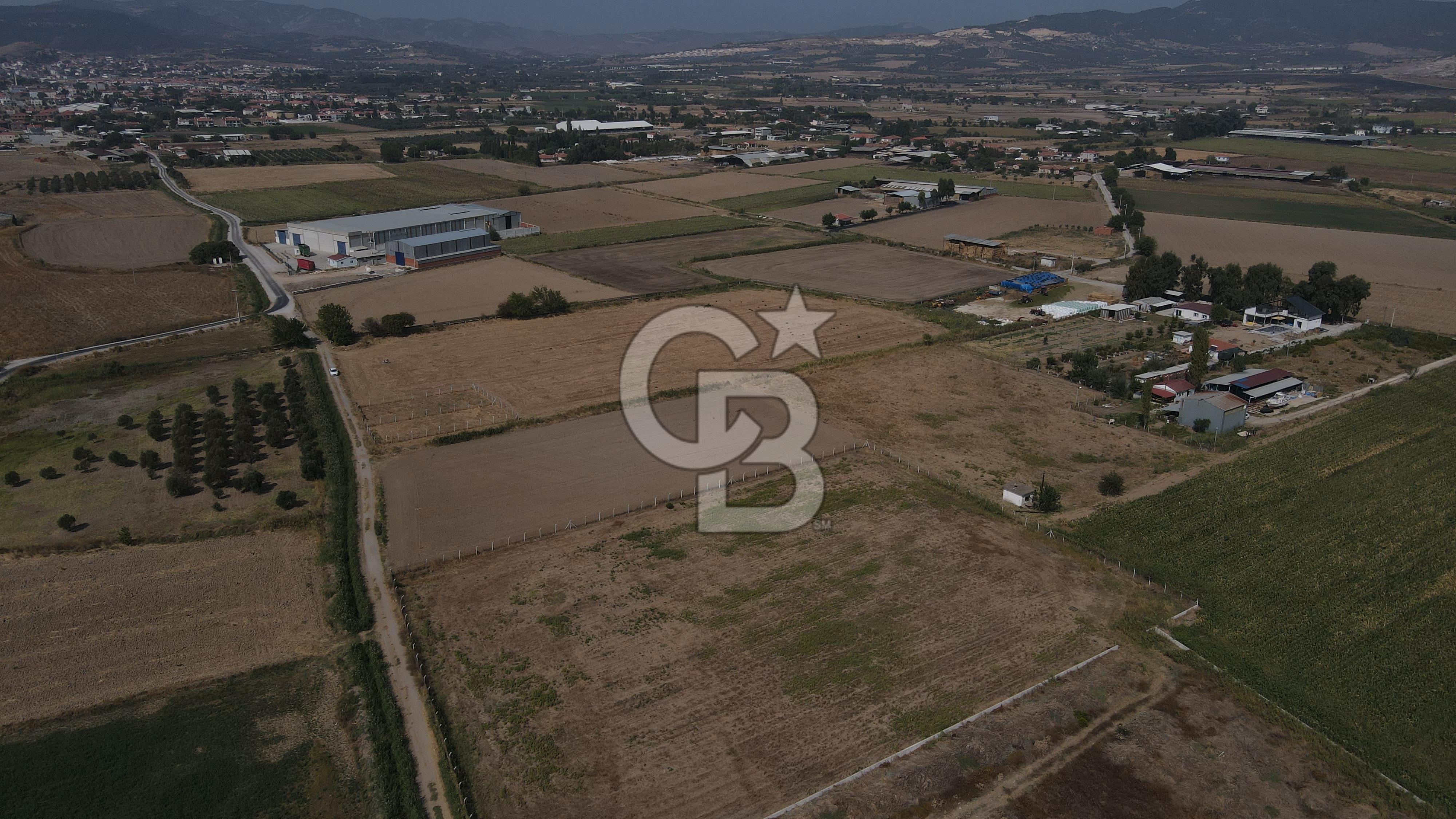 YATIRIM FIRSATI Satılık Foça Bağarası Tarla