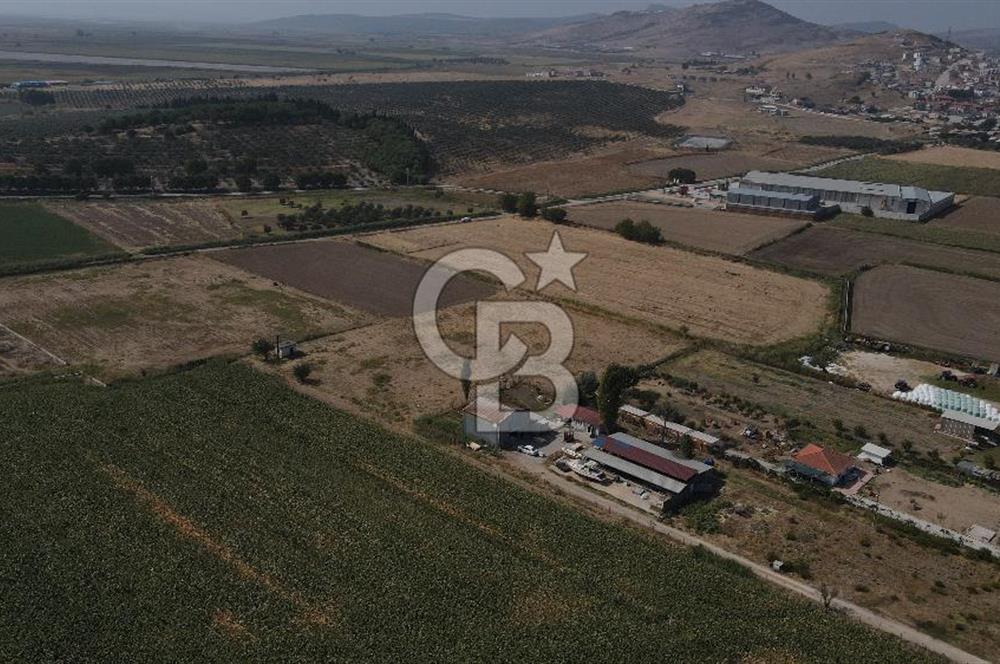 YATIRIM FIRSATI Satılık Foça Bağarası Tarla
