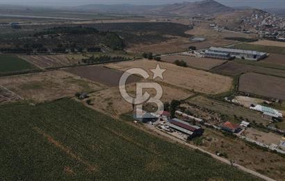 YATIRIM FIRSATI Satılık Foça Bağarası Tarla