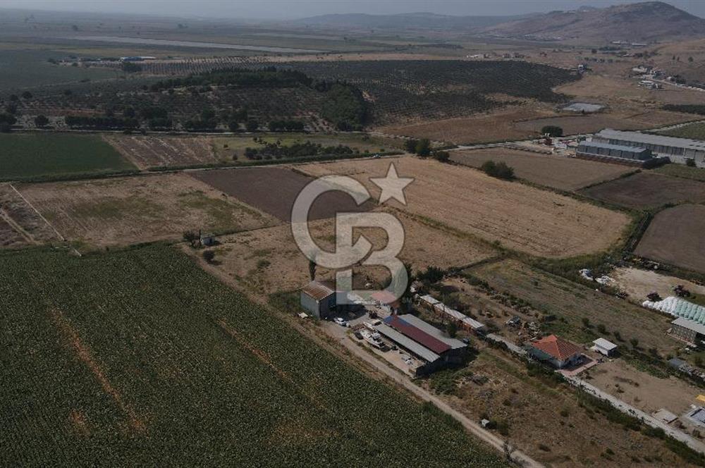 YATIRIM FIRSATI Satılık Foça Bağarası Tarla