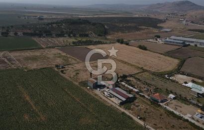 YATIRIM FIRSATI Satılık Foça Bağarası Tarla