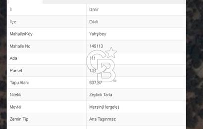 COLDWELL BANKER ROUTE'TAN DİKİLİ YAHŞİBEYDE YATIRIMLIK ZEYTİNLİK