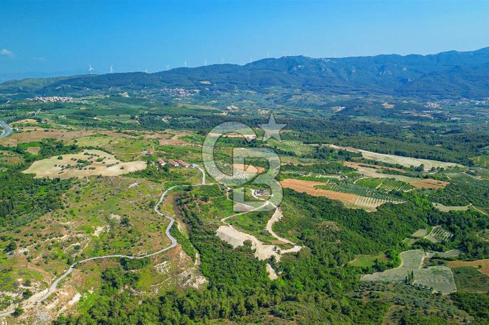 Kuşadası Soğucak’ta 349,20m² Satılık Konut İmarlı Arsa!