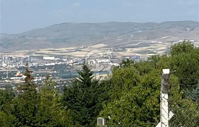 CB VİZYONDAN HACILAR KÖY İÇİ 0,50 EMSAL SATILIK ARSA